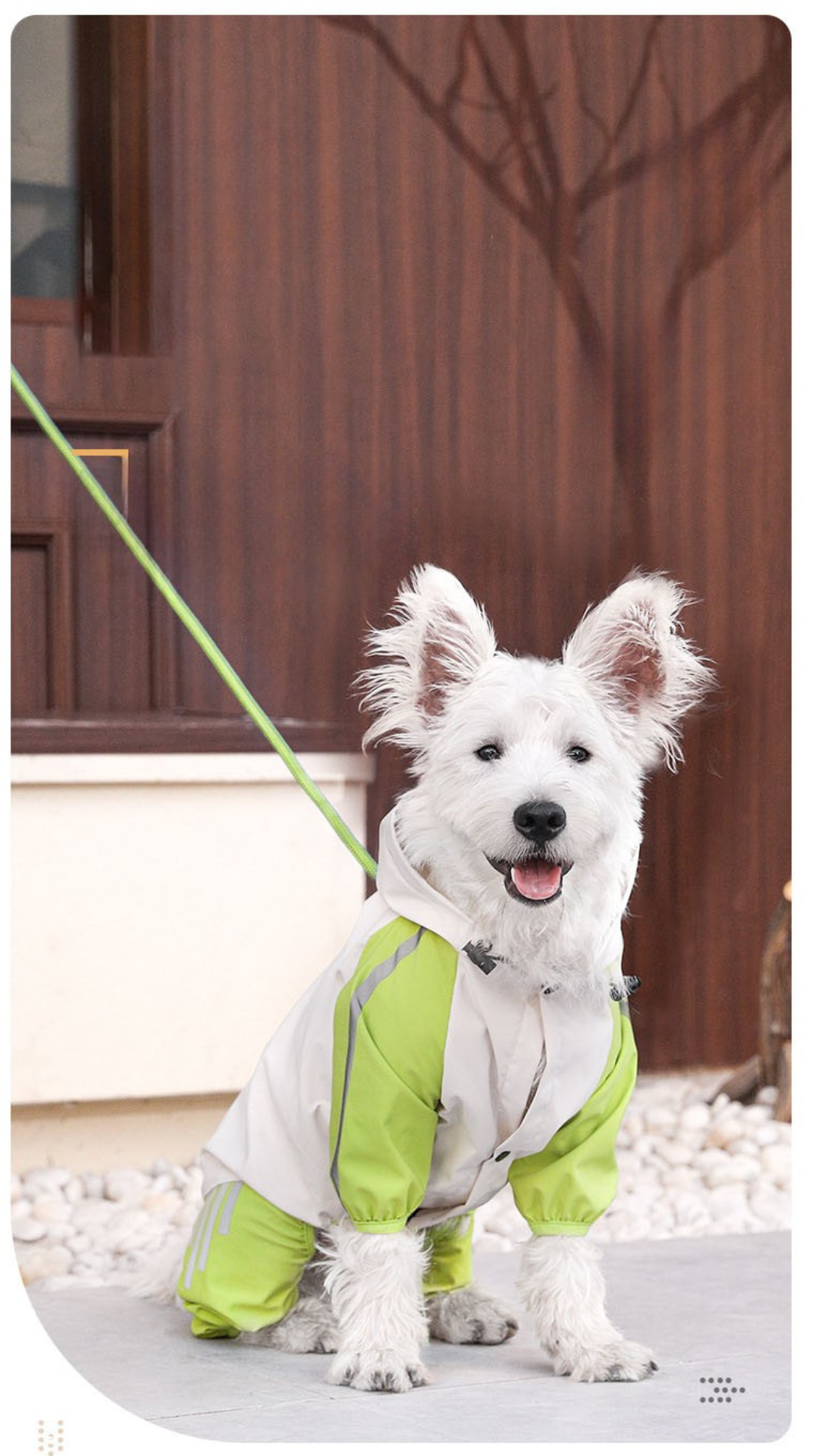 Pet Raincoat