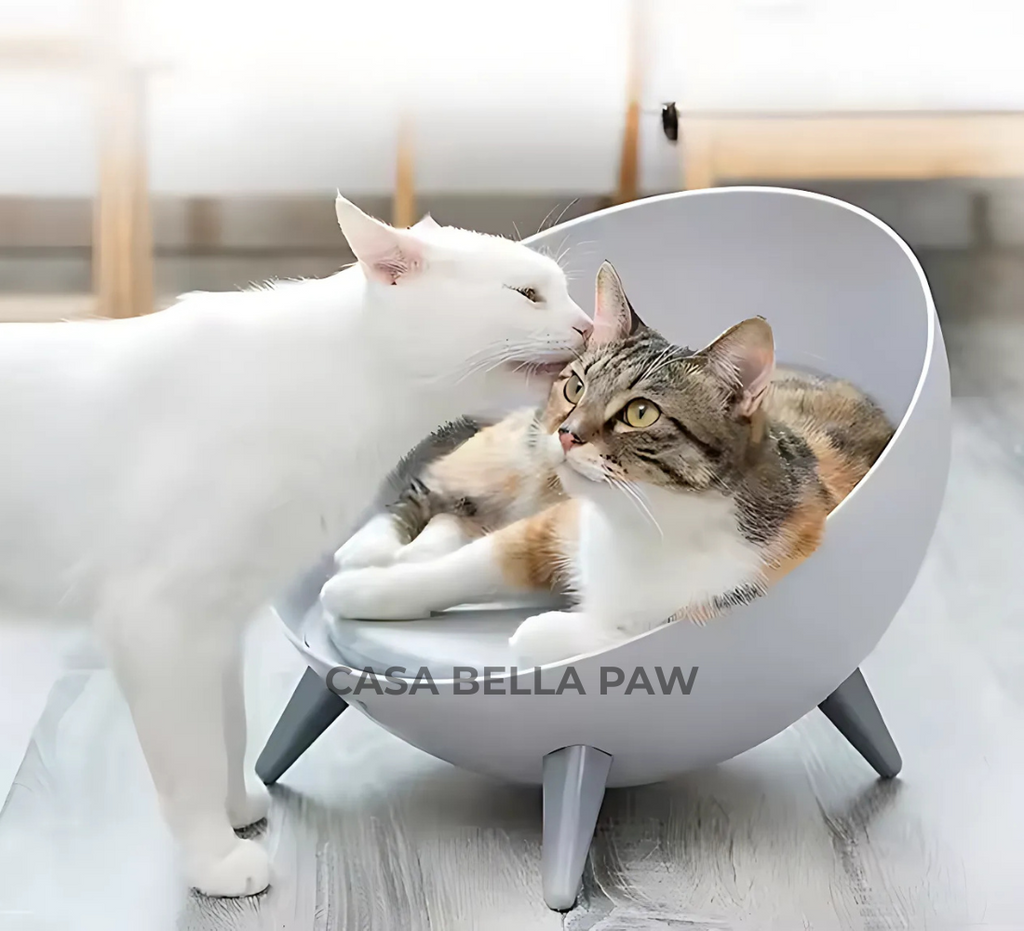 Iron Cat Bed