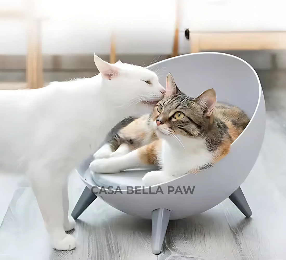 Iron Cat Bed