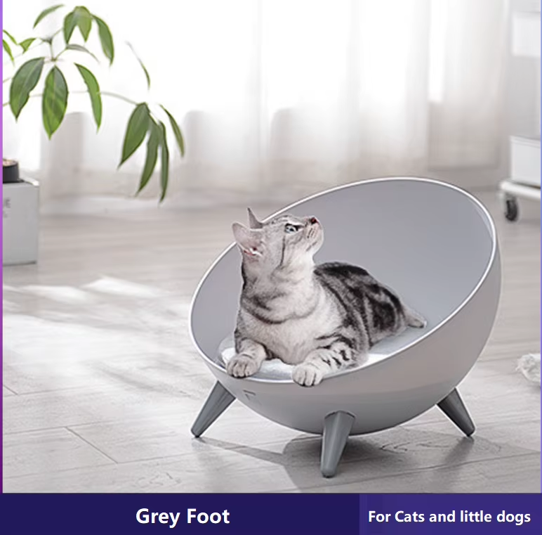 Modern Bowl-Style Elevated Pet Bed