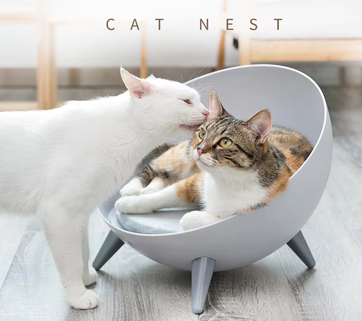 Modern Bowl-Style Elevated Pet Bed