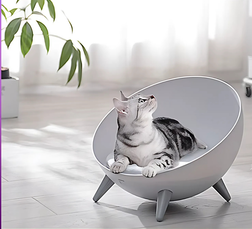 Iron Cat Bed