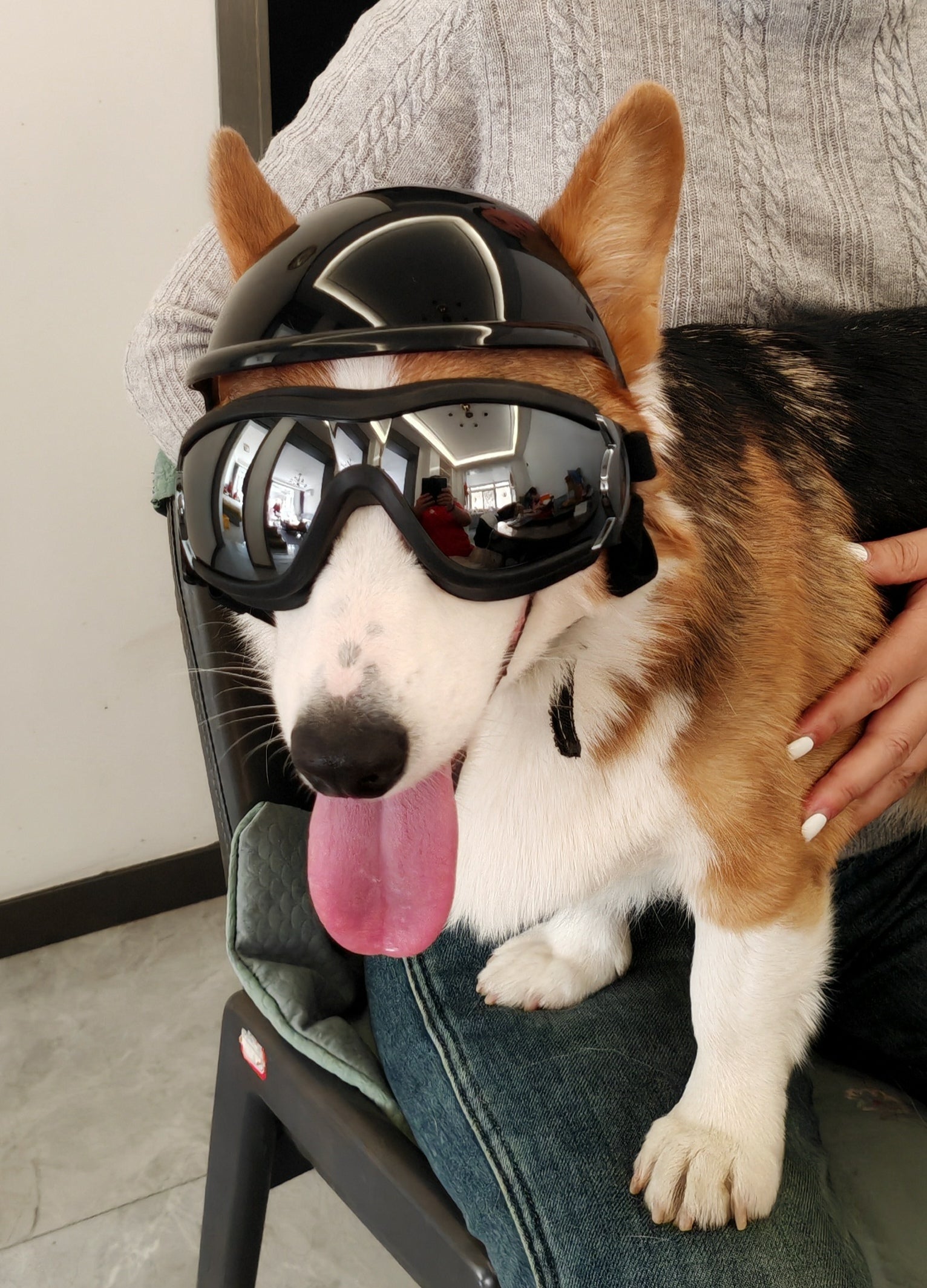 Black Protective Pet Goggles