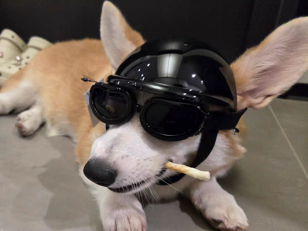 Black Protective Pet Goggles