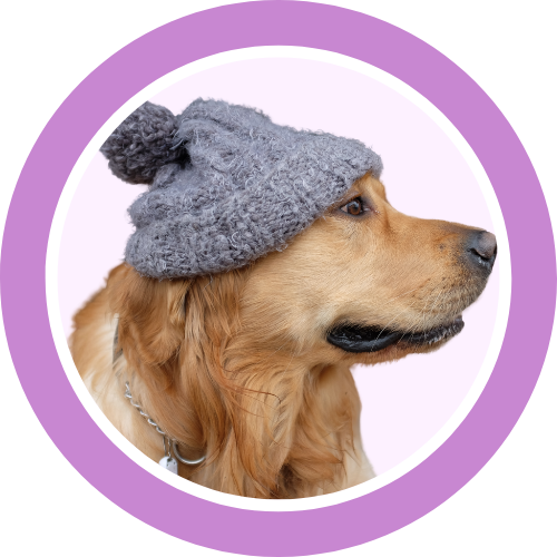 Winter Wear