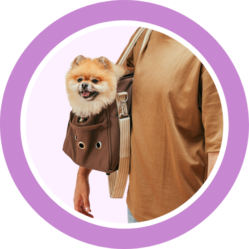 Bags/Carriers