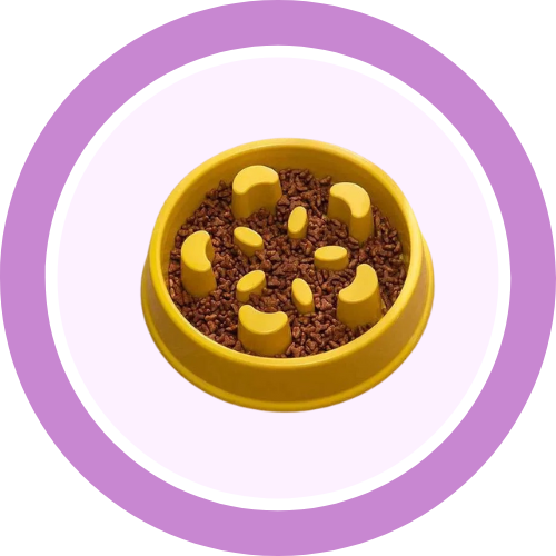 Bowls/Feeders