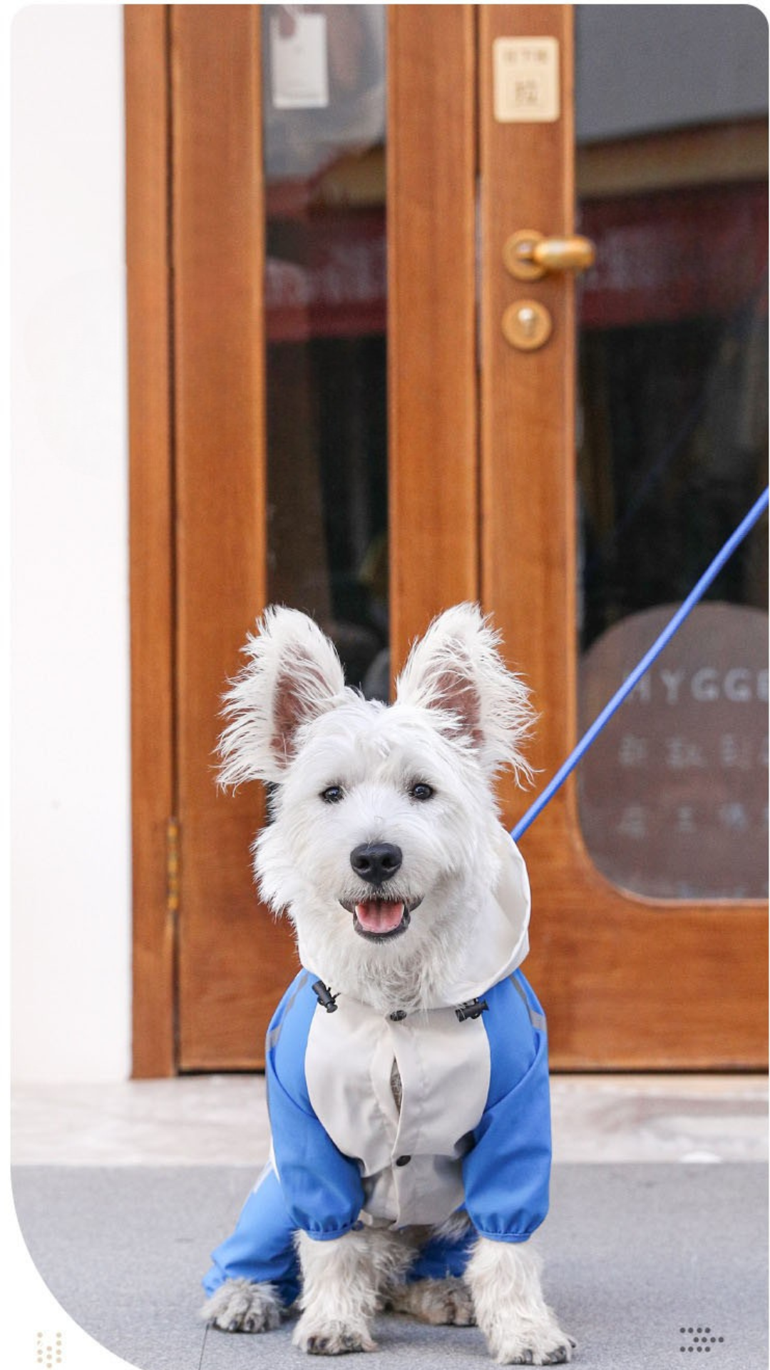 Pet Raincoat
