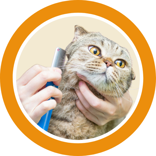 Grooming Products