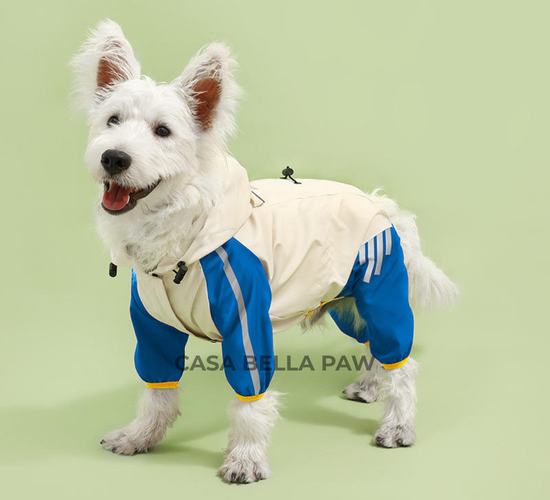 Pet Raincoat