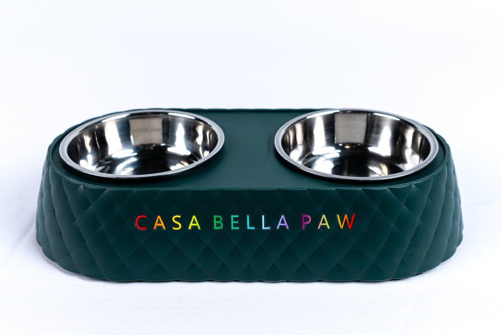 Double Stainless Steel Pet Feeder Bowl