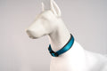 Padded Reflective Dog Collar