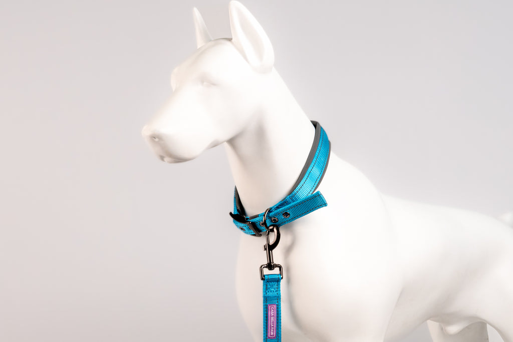 Padded Reflective Dog Collar