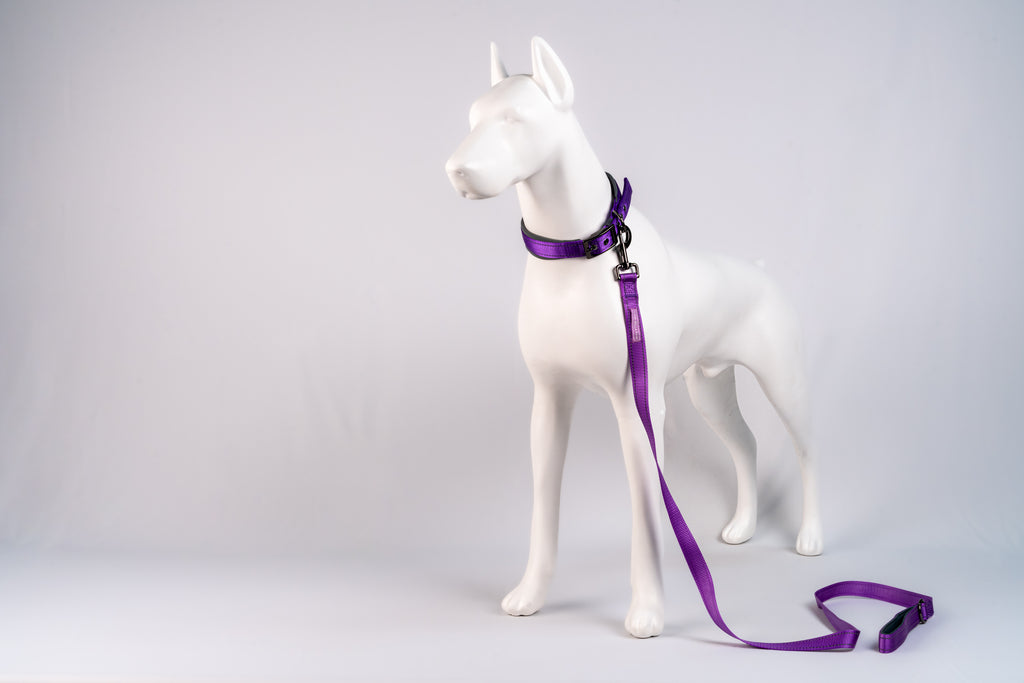 Padded Reflective Dog Leash