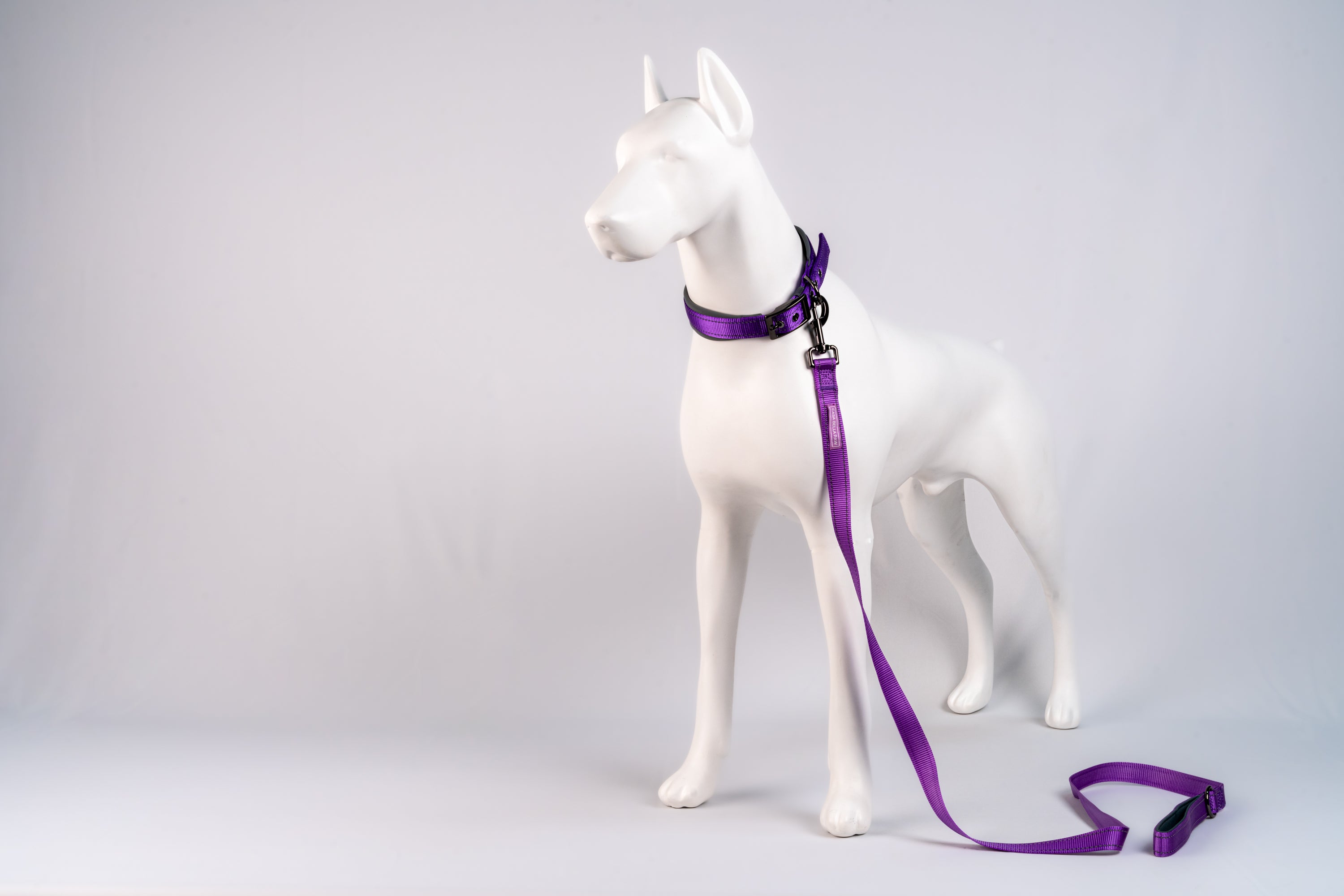 Padded Reflective Dog Leash