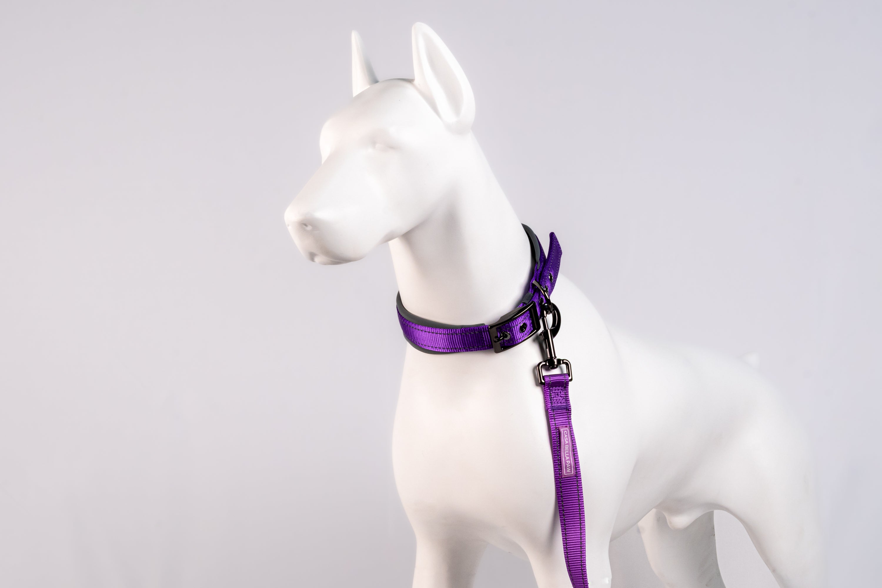 Padded Reflective Dog Collar