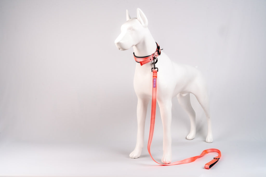 Padded Reflective Dog Leash