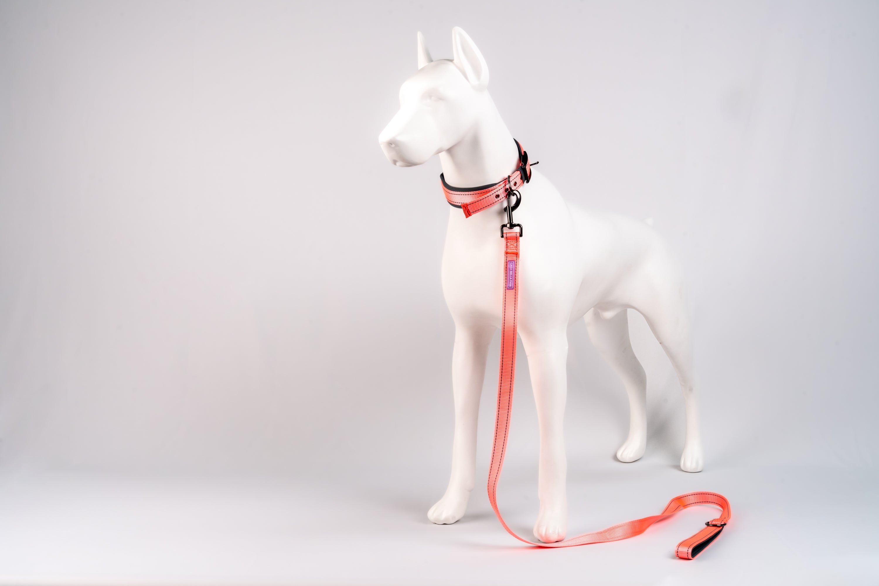 Padded Reflective Dog Leash