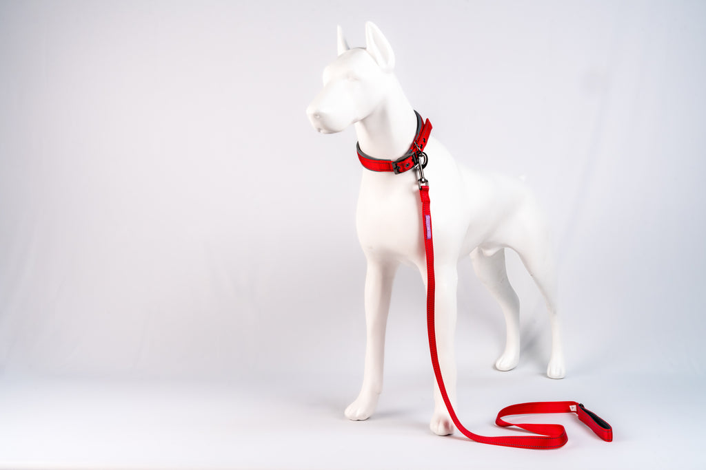 Padded Reflective Dog Leash