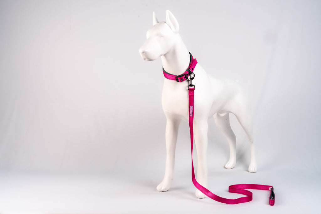 Padded Reflective Dog Leash