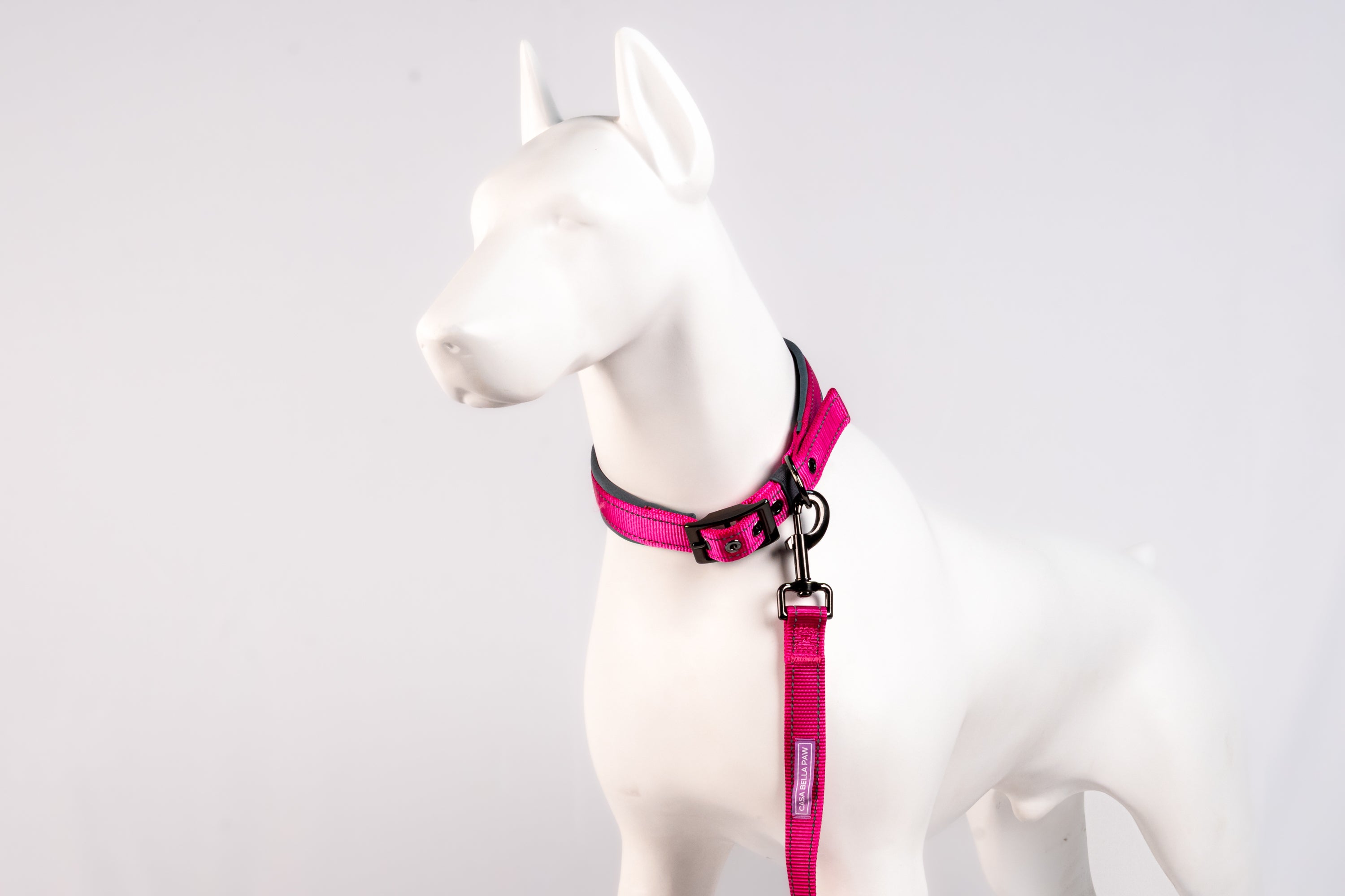 Padded Reflective Dog Collar