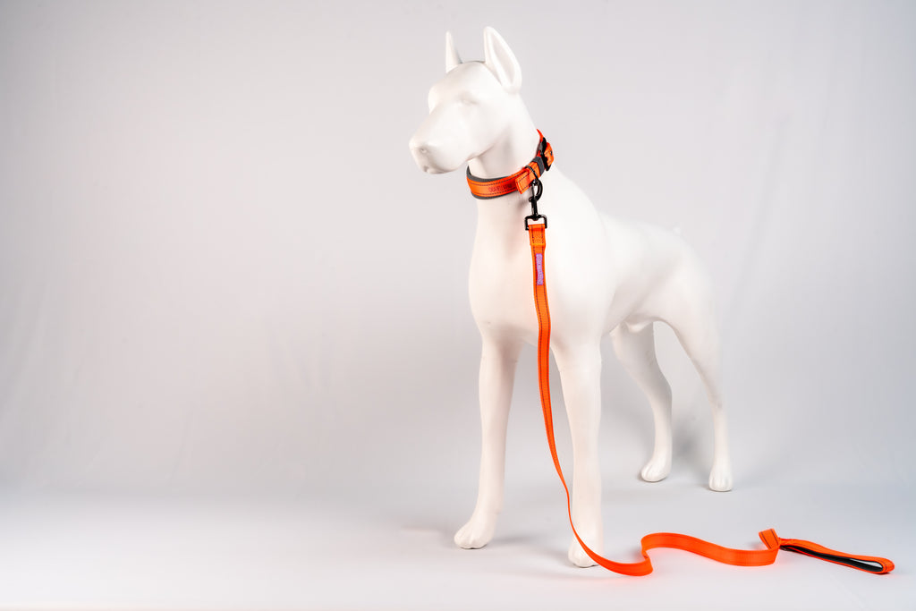 Padded Reflective Dog Leash