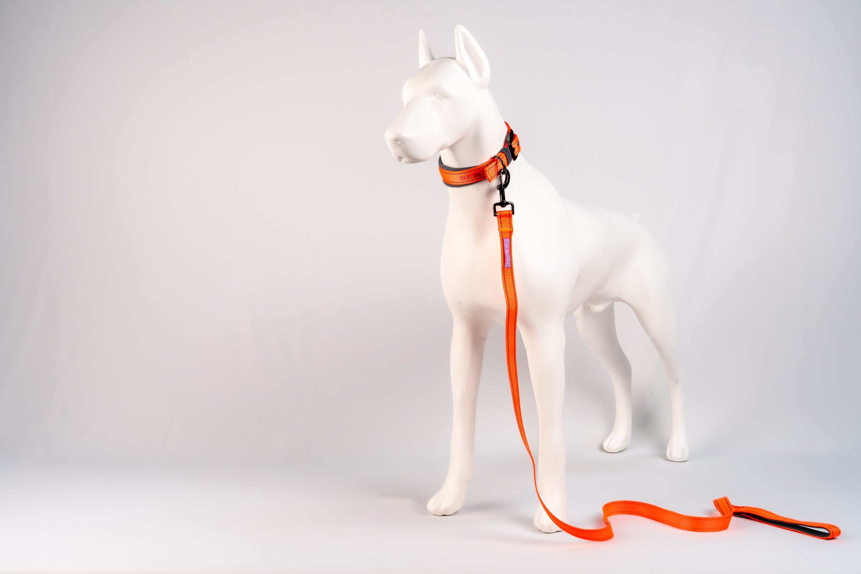 Padded Reflective Dog Leash