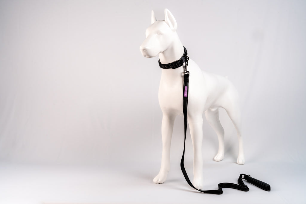 Padded Reflective Dog Leash