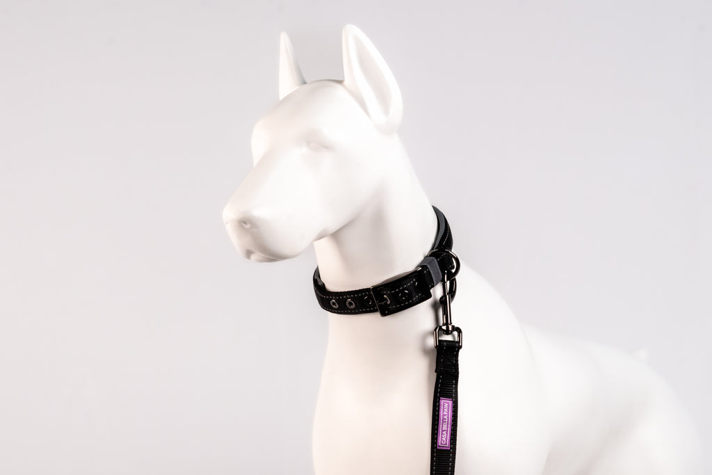 Padded Reflective Dog Collar