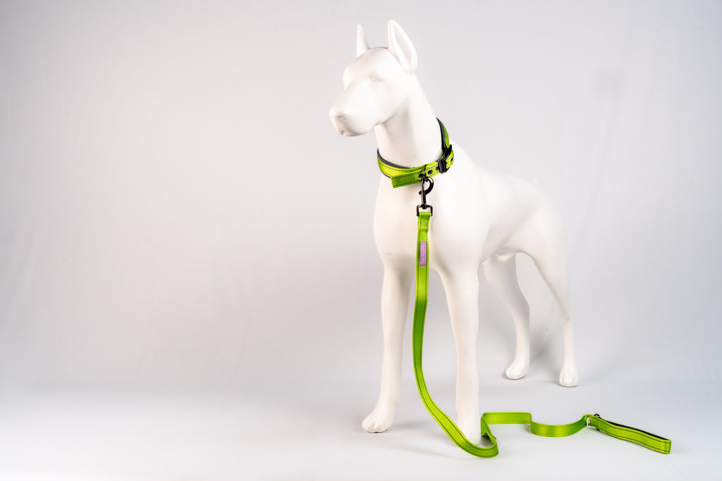 Padded Reflective Dog Leash