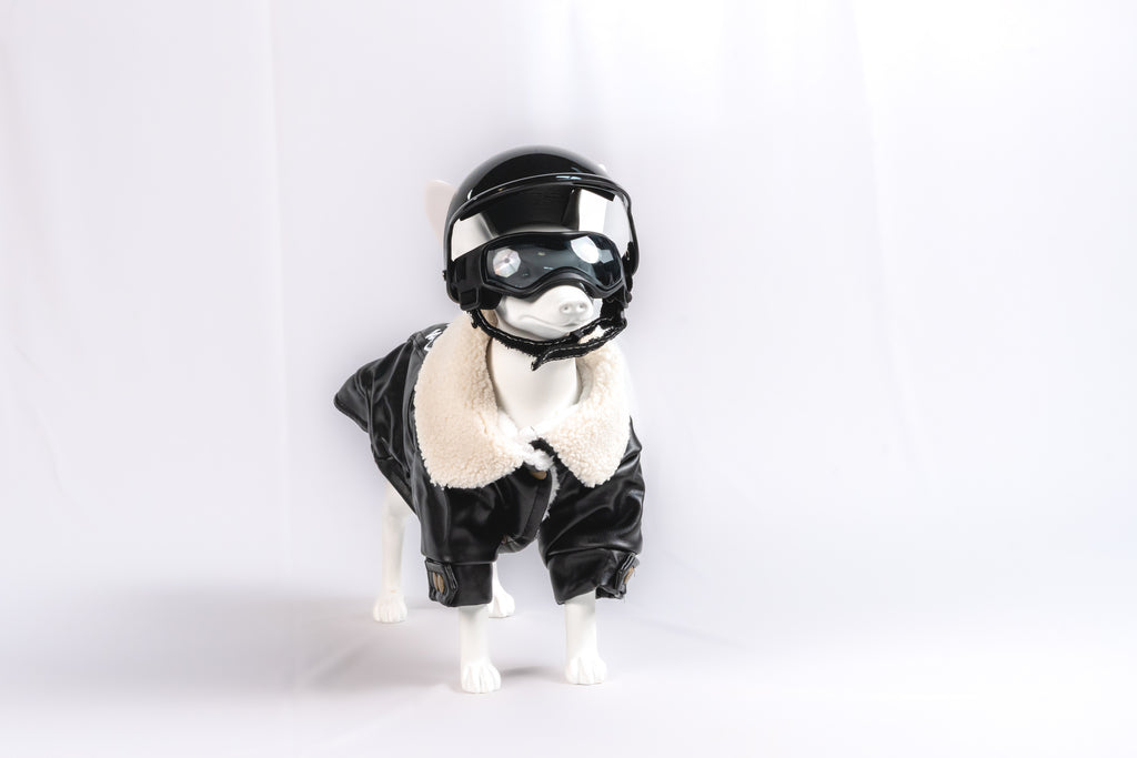 Black Safety Pet Helmet