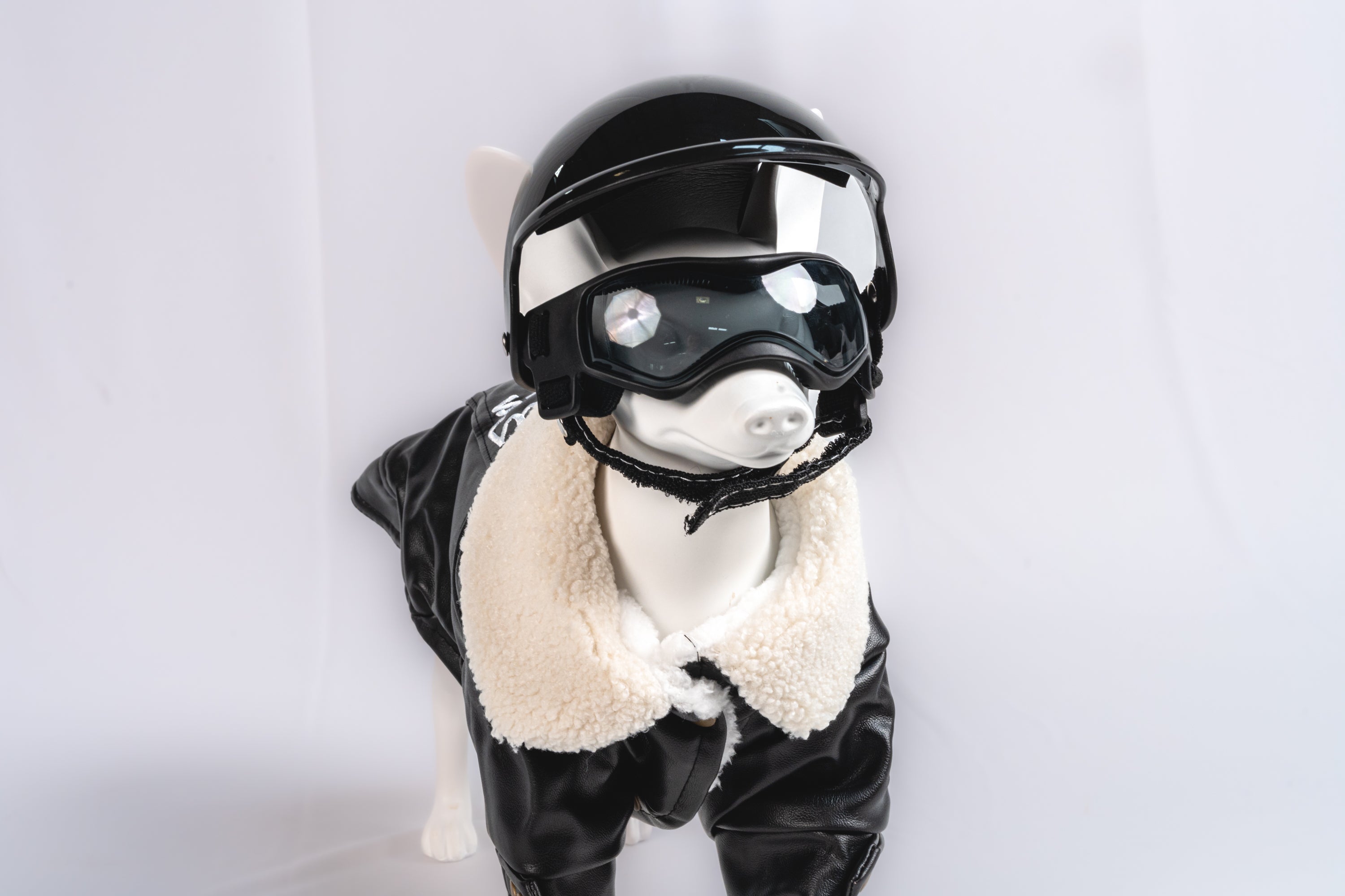 Black Safety Pet Helmet