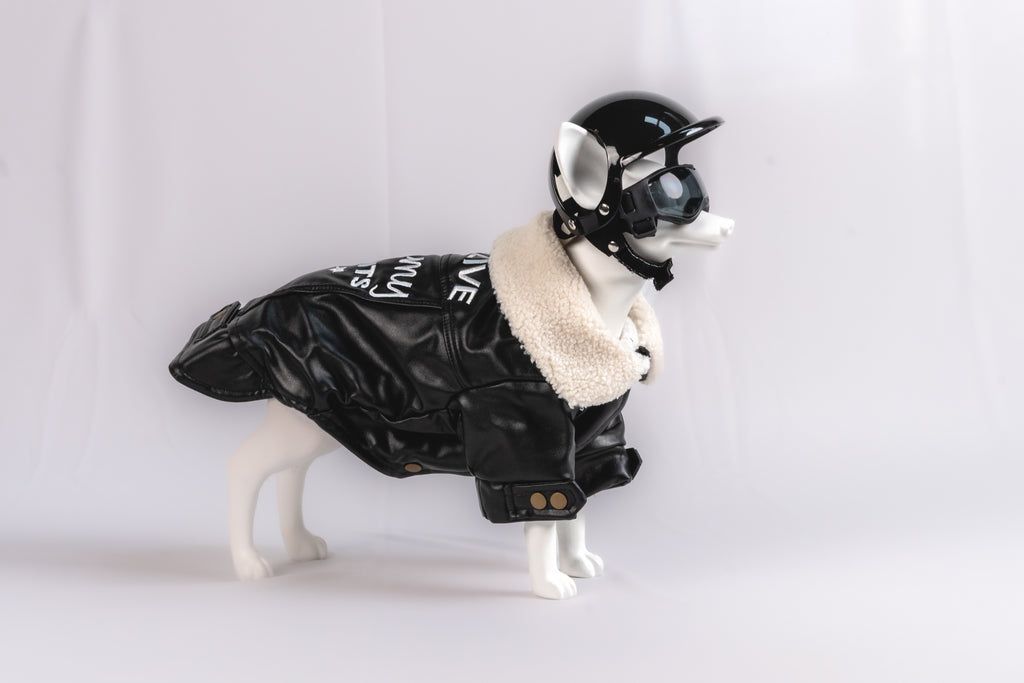Classic Black Biker Leather Pet Jacket