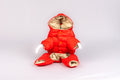Hooded Pet Puffer Jacket