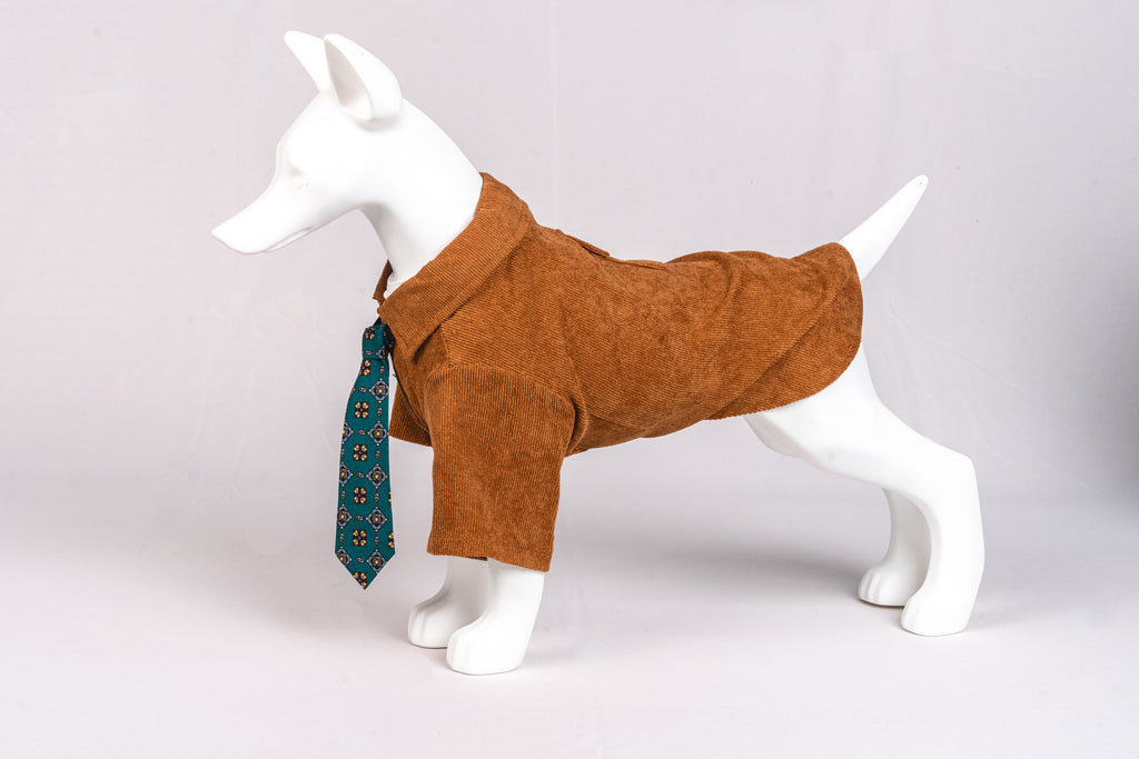 Corduroy Formal Shirt with Tie for Pets