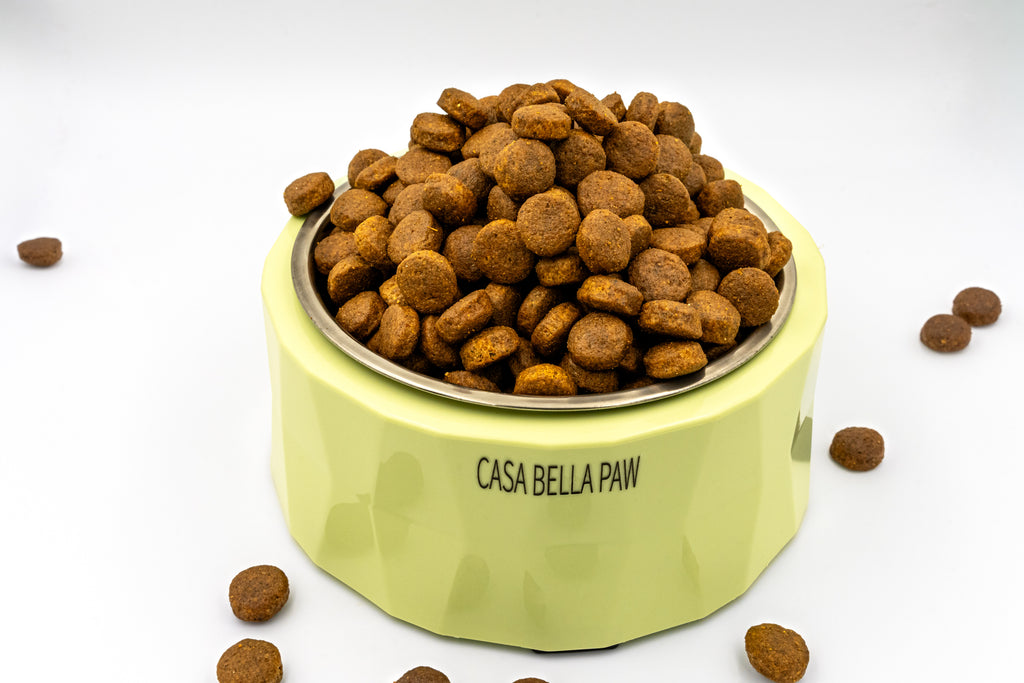 Stainless Steel Pet Feeder Bowl