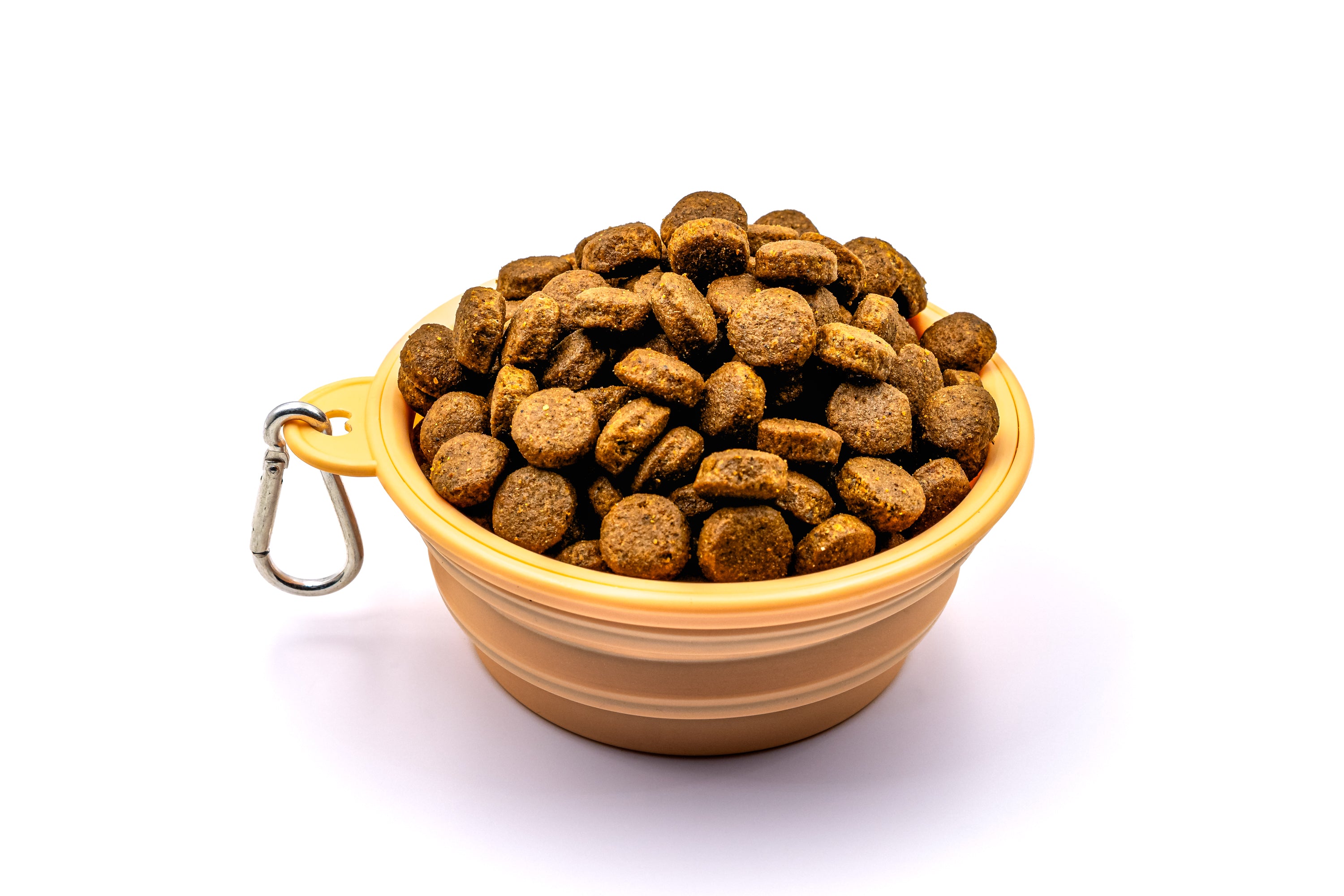 Foldable Travel Friendly Pet Bowl