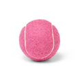 Classic Felt Pet Play Ball