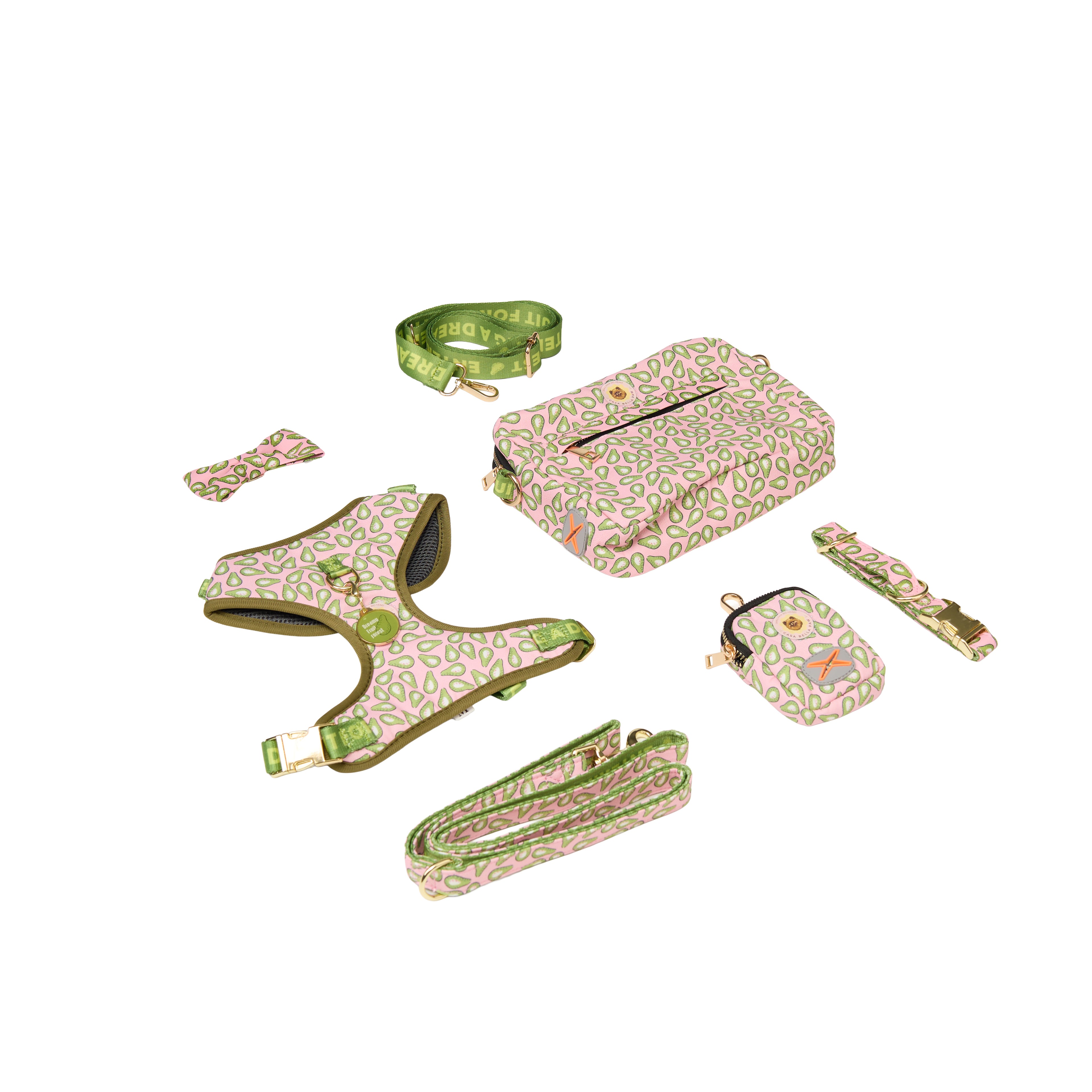 Pet Harness Set – Harness, Leash, Bag & Accessories