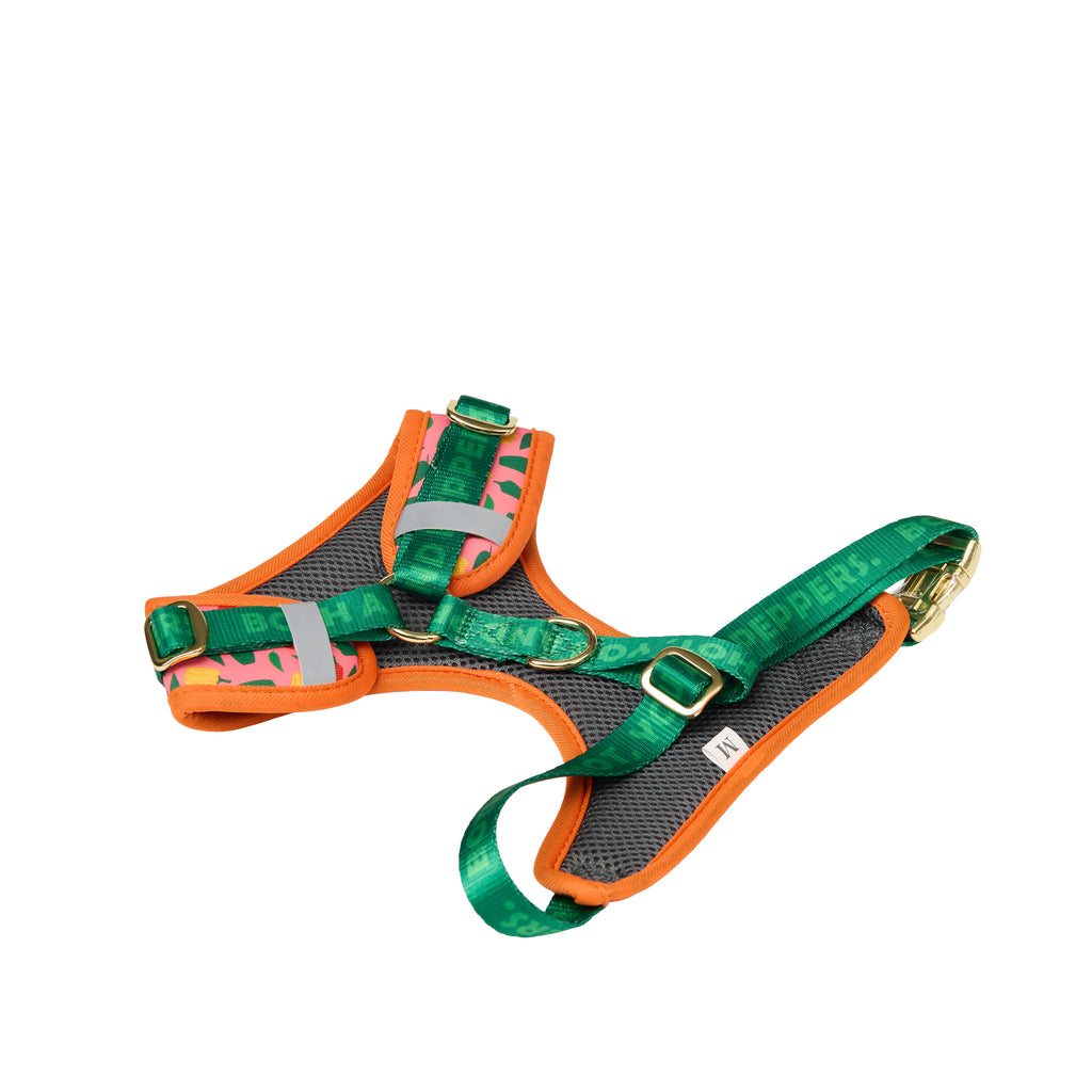 Pet Harness Set – Harness, Leash, Bag & Accessories