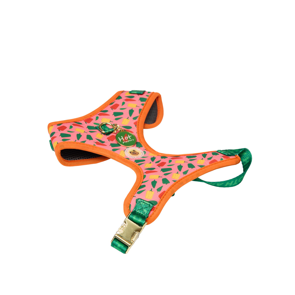 Pet Harness Set – Harness, Leash, Bag & Accessories