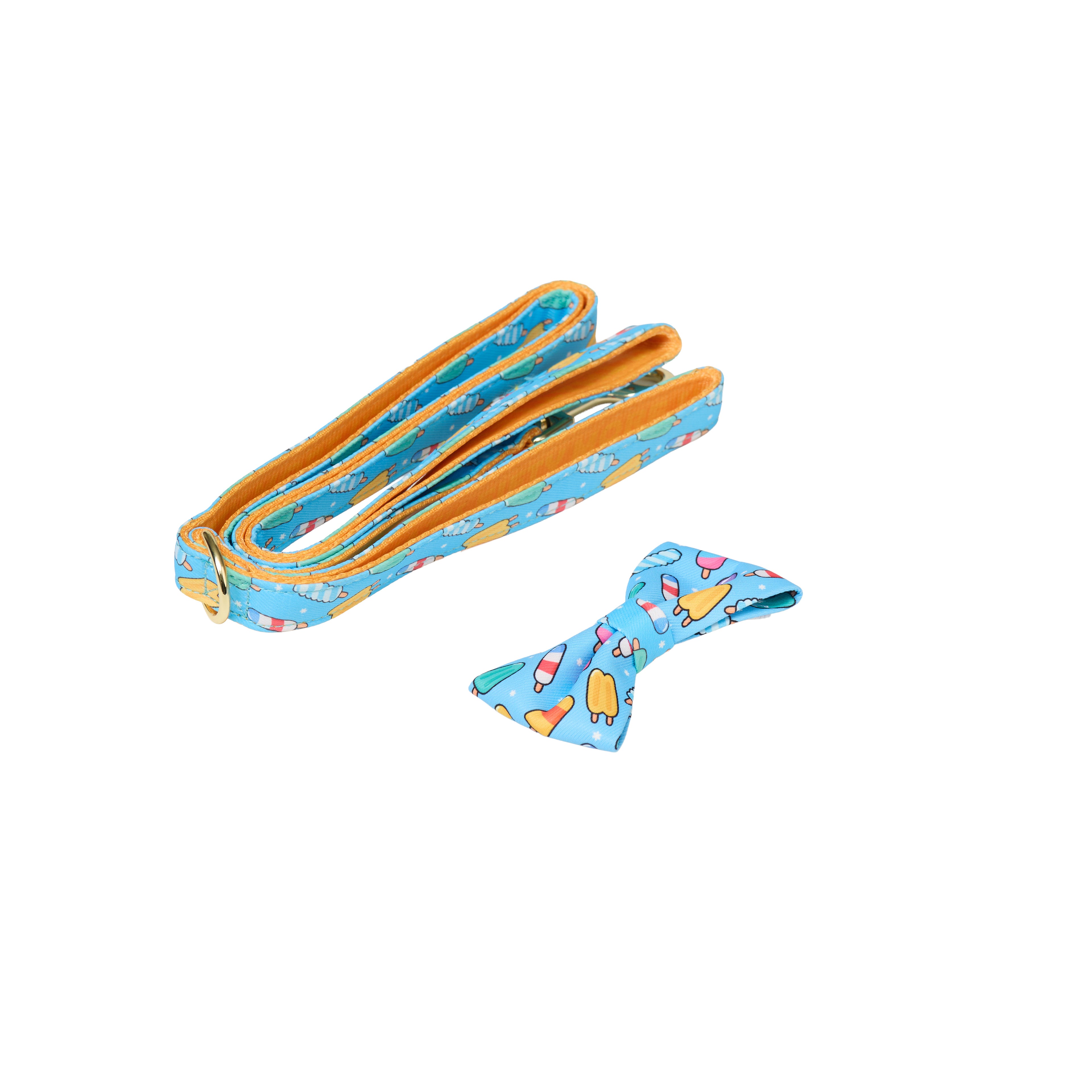 Pet Harness Set – Harness, Leash, Bag & Accessories