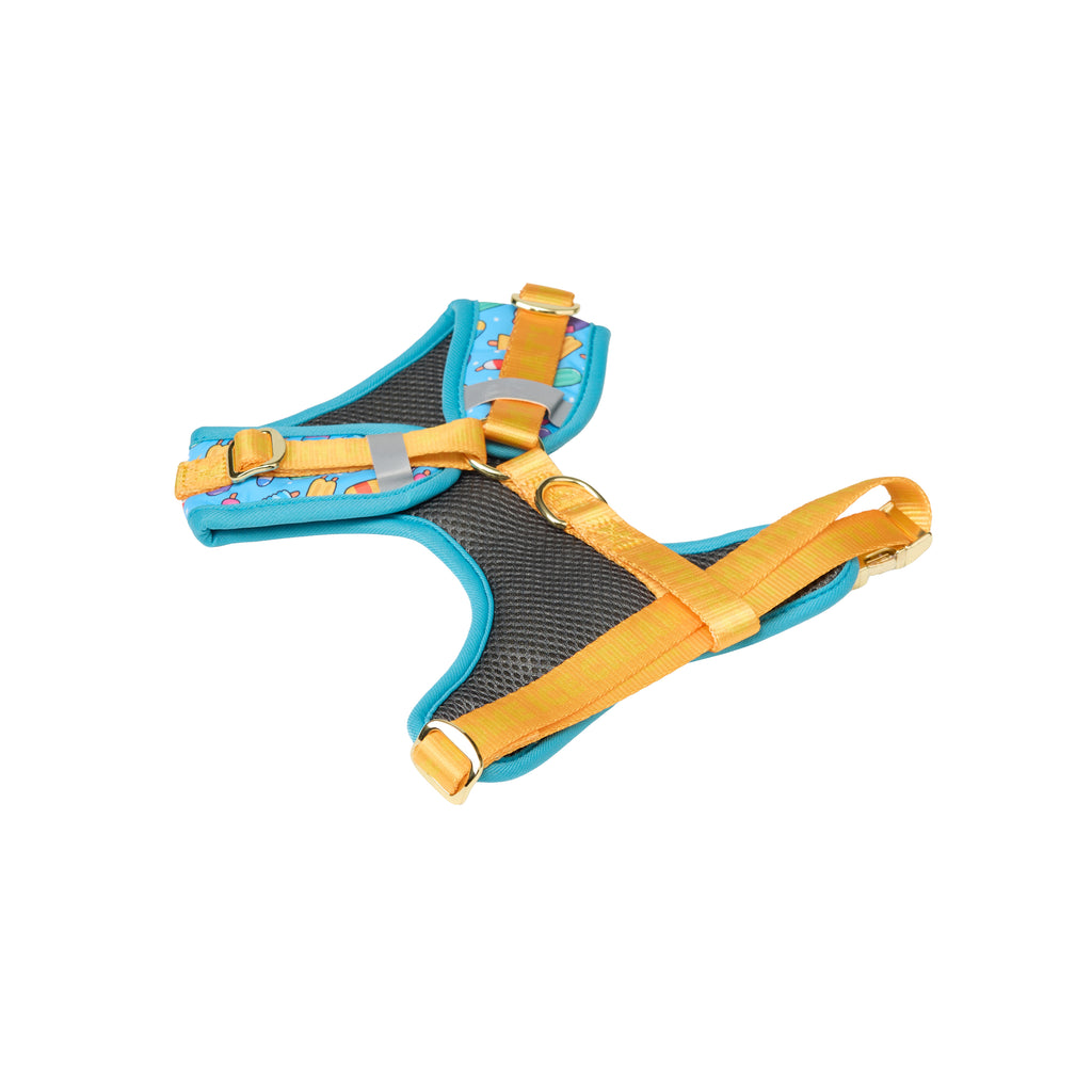 Pet Harness Set – Harness, Leash, Bag & Accessories