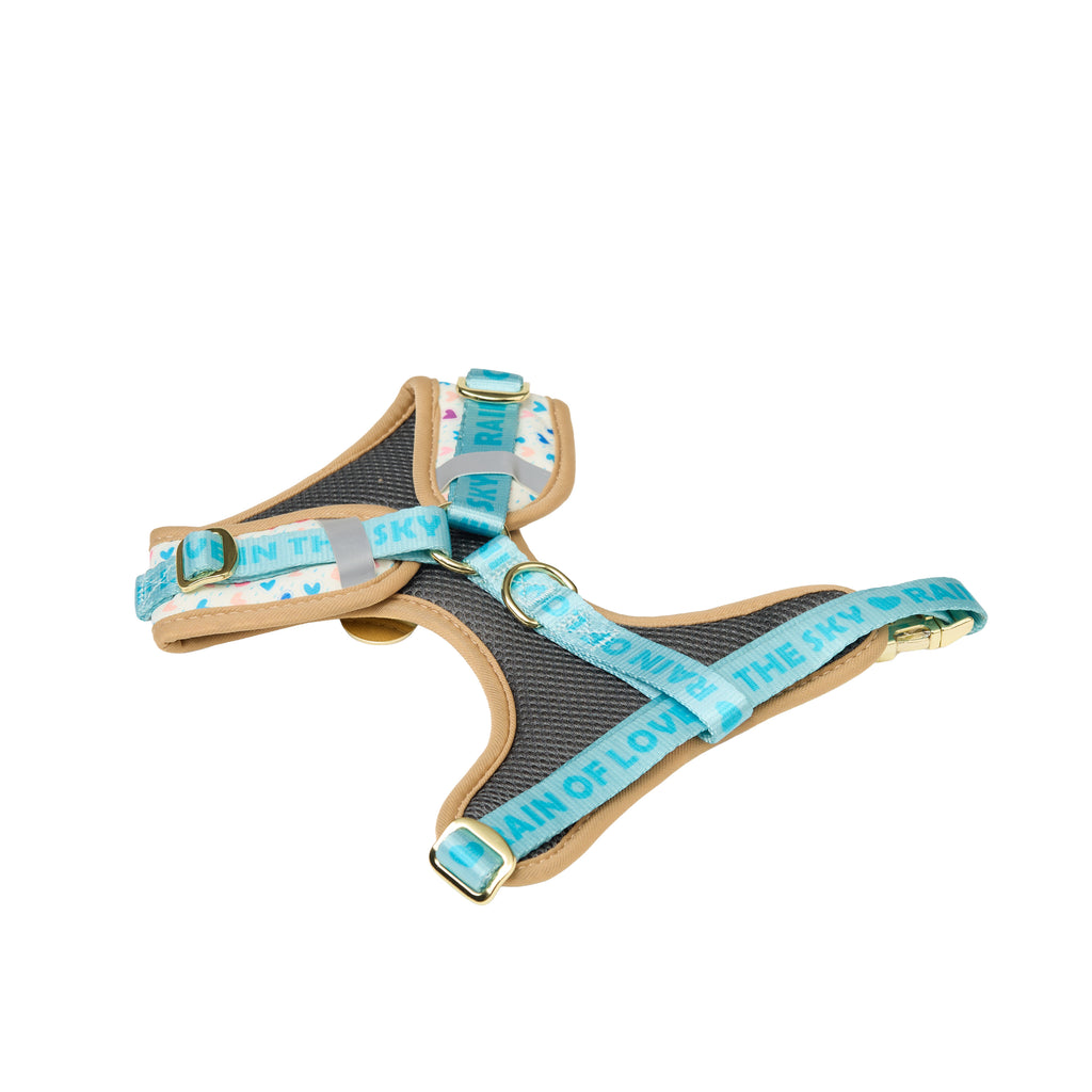 Pet Harness Set – Harness, Leash, Bag & Accessories