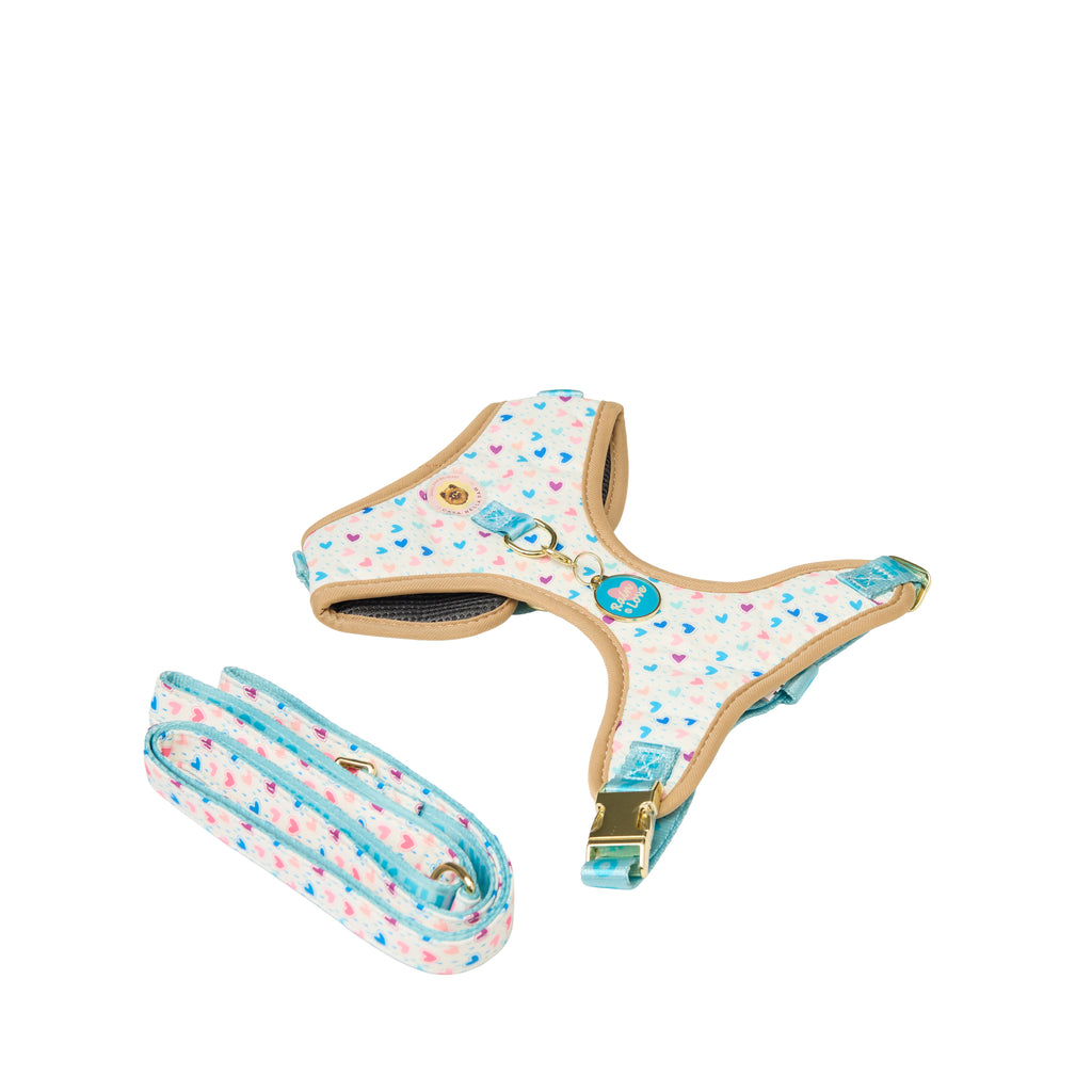 Pet Harness Set – Harness, Leash, Bag & Accessories