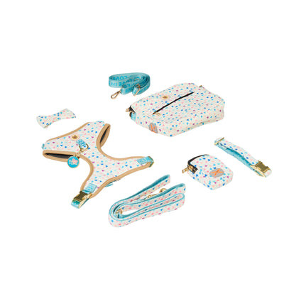 Rainbow Heart Print Dog Walk Essentials Set – Harness, Leash, Bag & Accessories