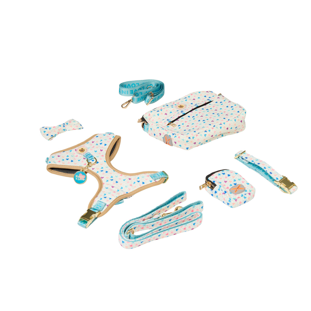 Pet Harness Set – Harness, Leash, Bag & Accessories