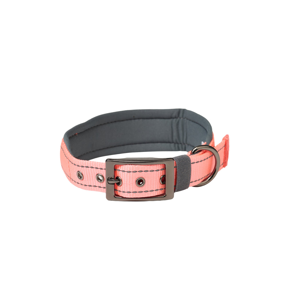 Padded Reflective Dog Collar