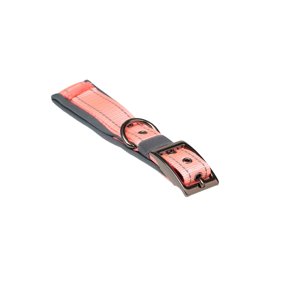 Padded Reflective Dog Collar