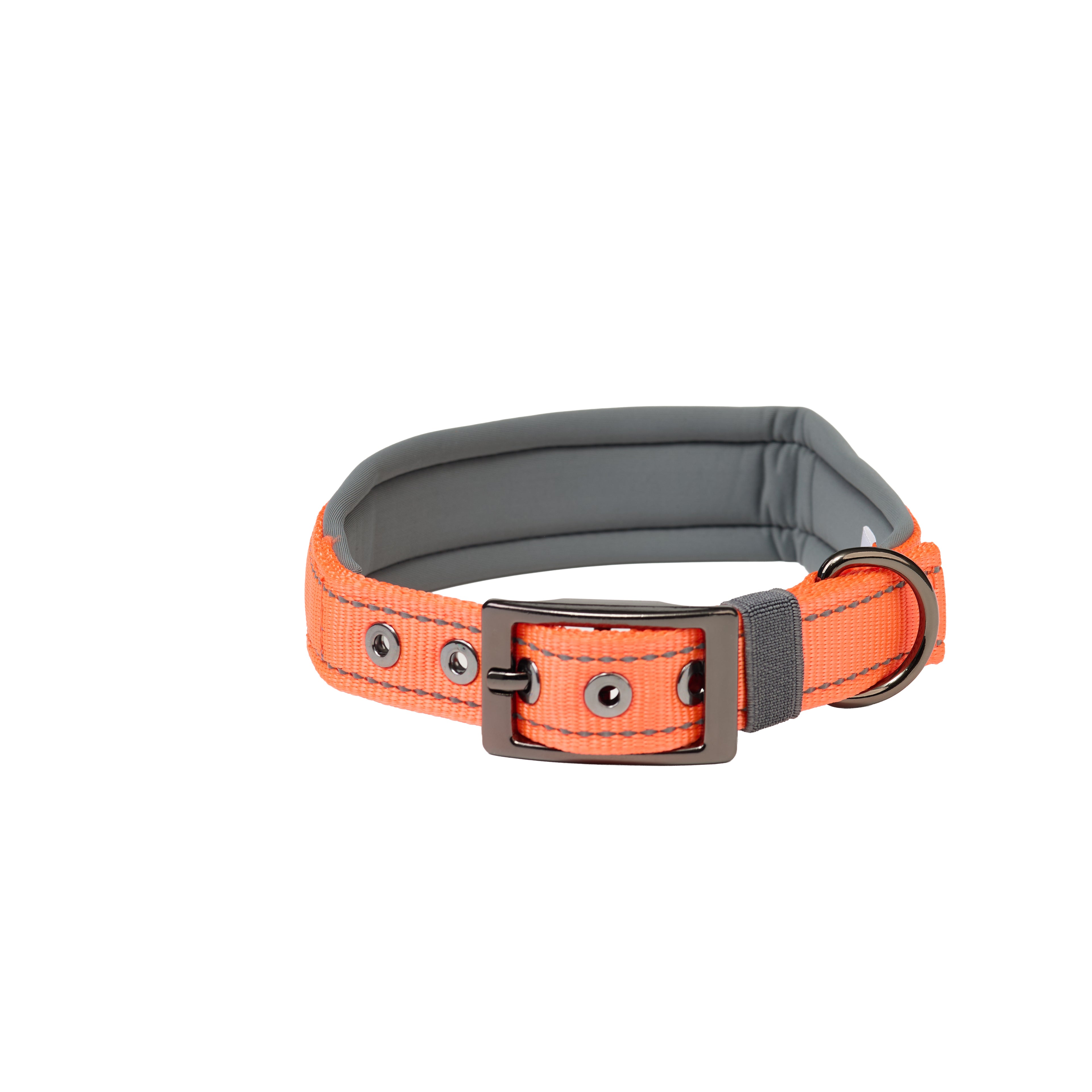 Padded Reflective Dog Collar